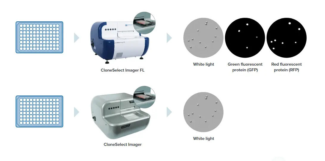 CloneSelect® Imager (CSI and CSI FL)
