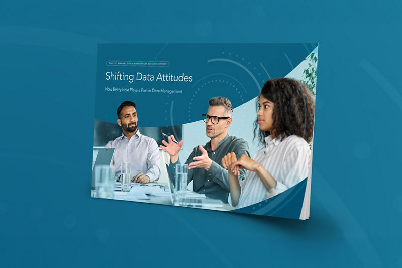 The 10th Annual Dun & Bradstreet B2B Data Report Mockup