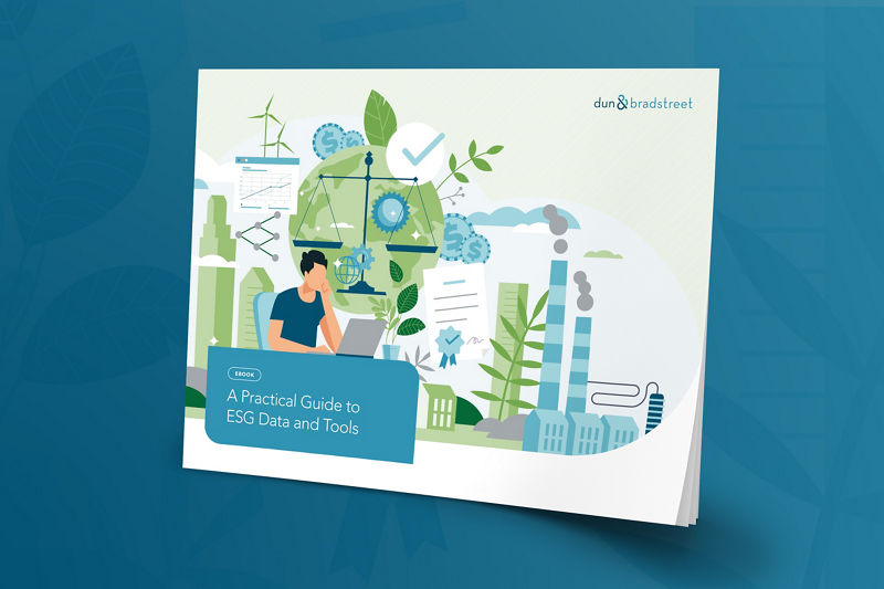 Mockup of A Practical Guide to ESG eBook