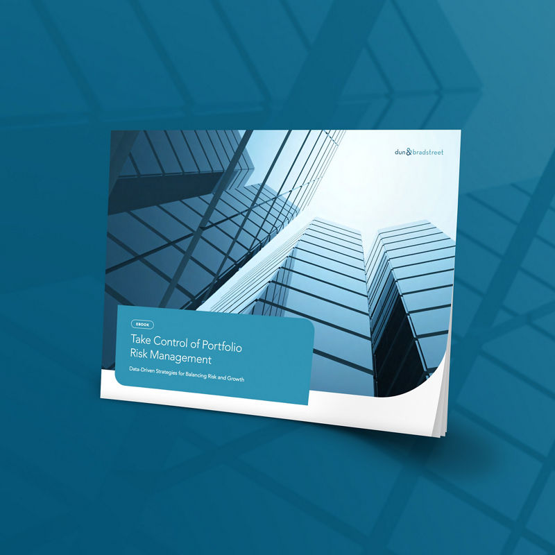 Mockup of the D&B Portfolio Risk Guide eBook