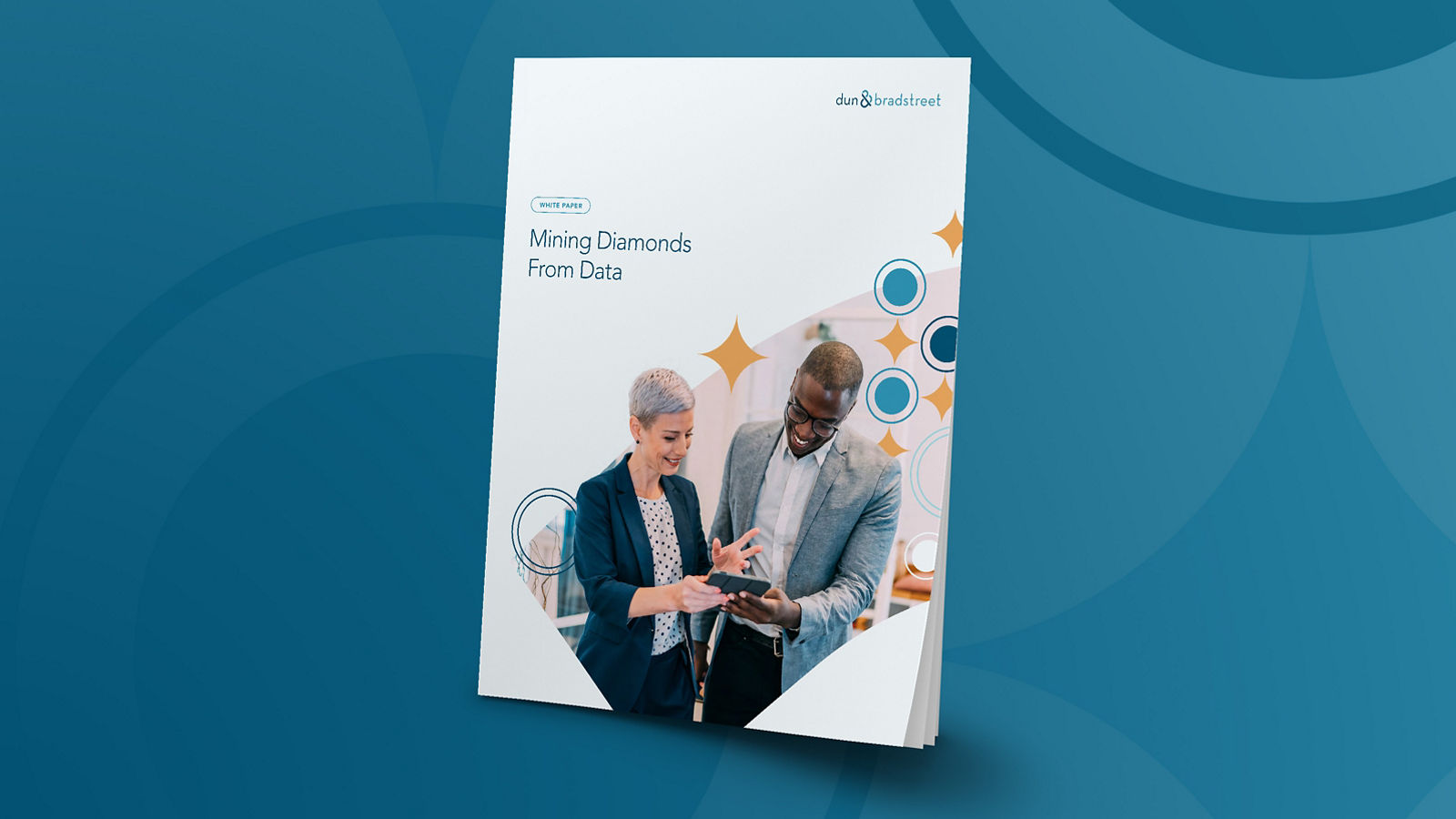 Mockup of Mining Diamonds from Data white-paper