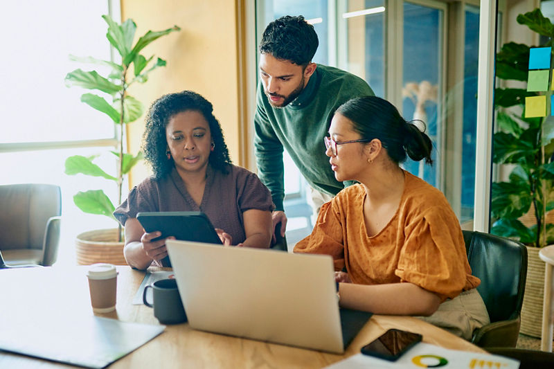 A diverse group of professionals collaborate on a project
