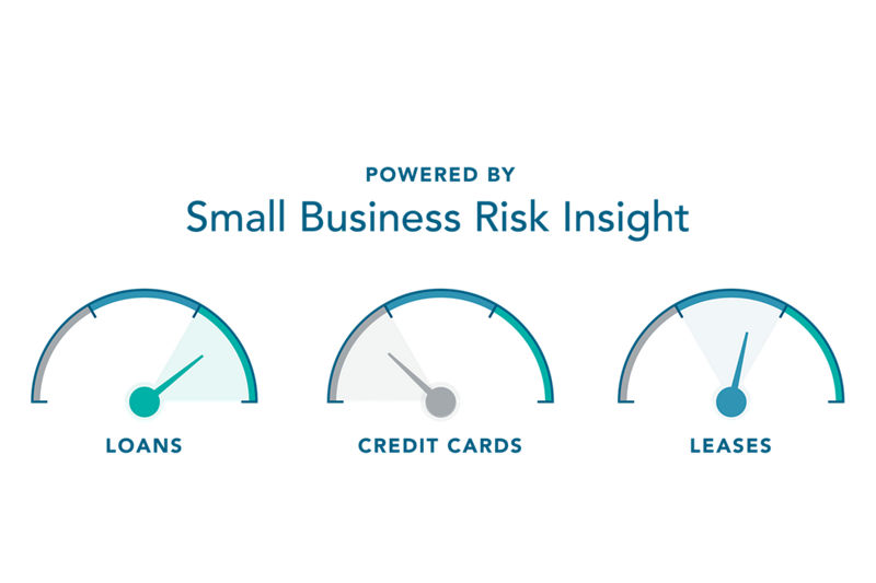 Powered by Small Business Risk Insight. Including data on loans, credit cards, and leases
