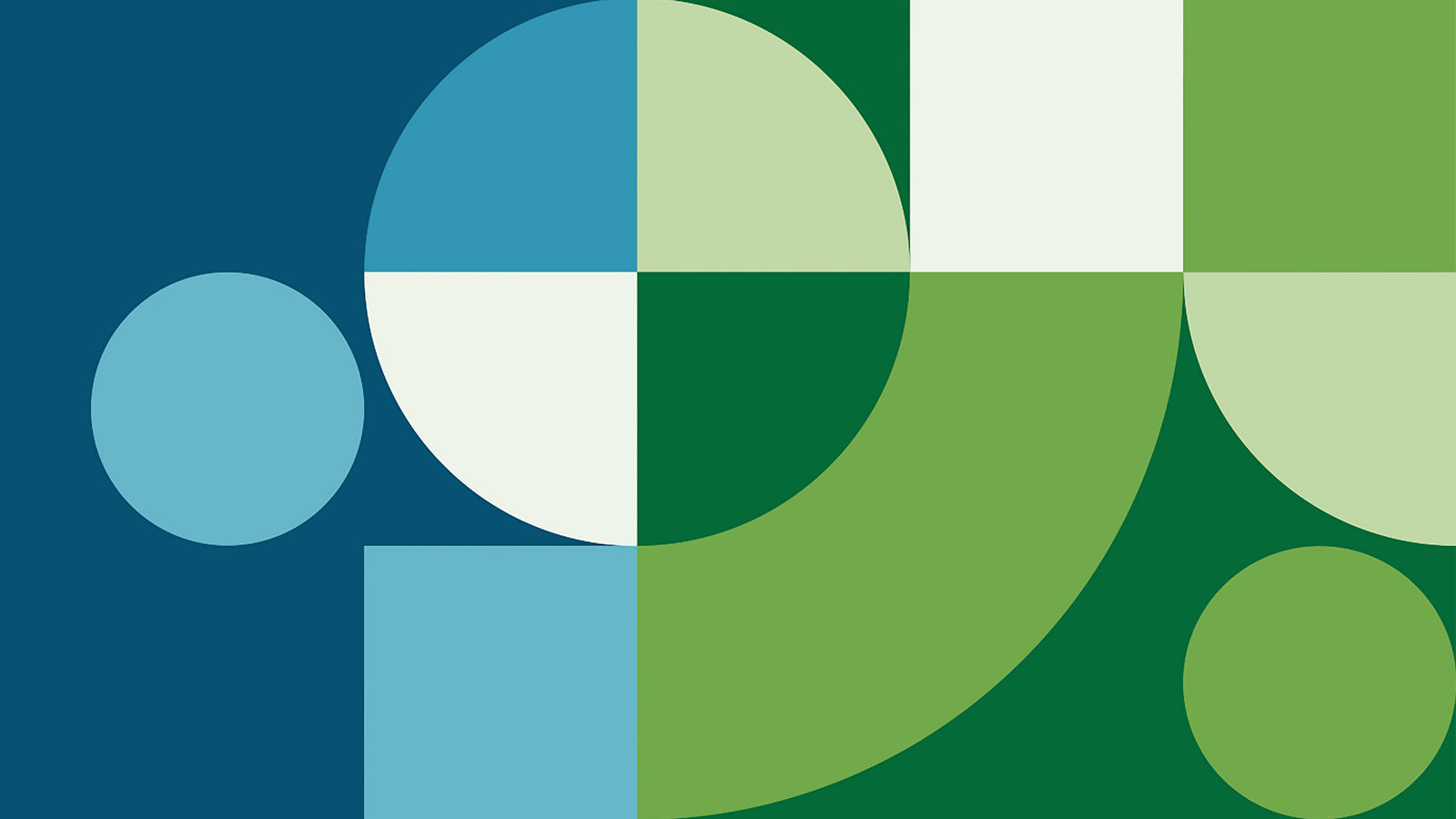 Dun & Bradstreet | Our Company