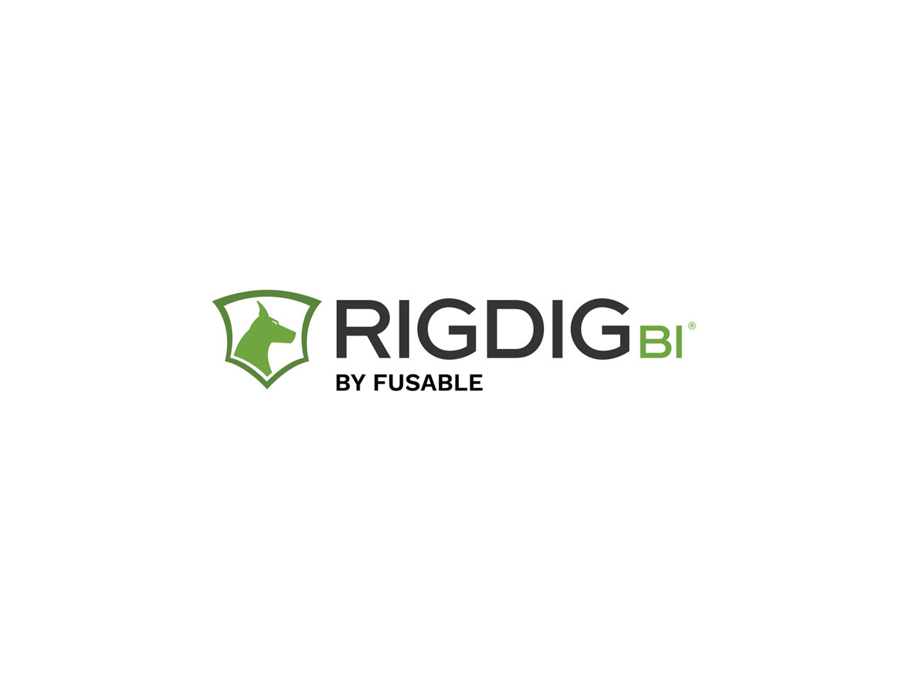 Data Marketplace: RigDig BI - Dun & Bradstreet