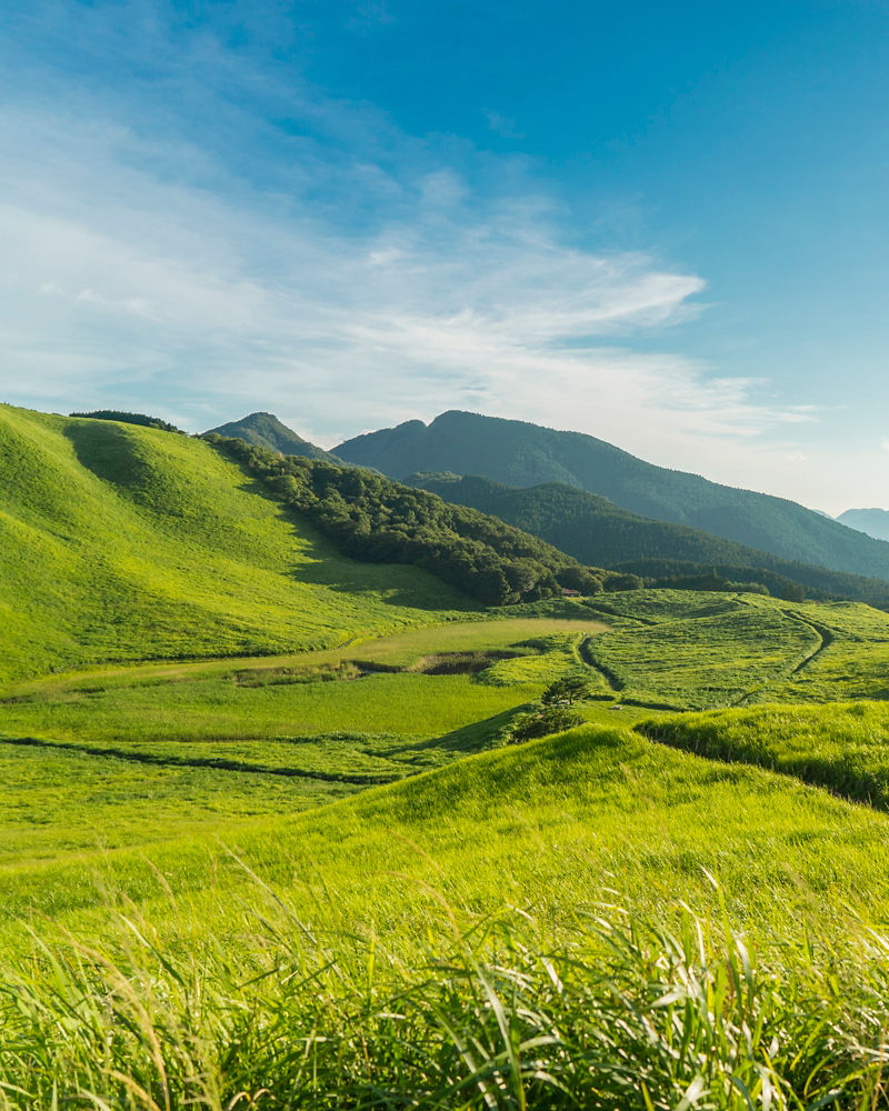 Mountainous landscape