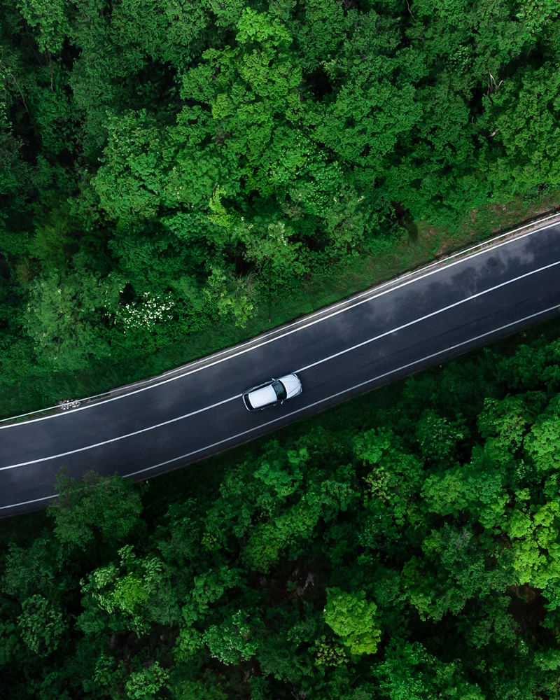 Aerial view of forest road