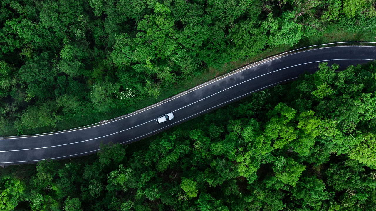 Aerial view of forest road