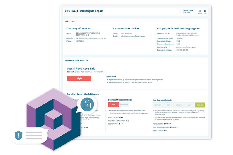 Screenshot of Fraud Risk Insights report