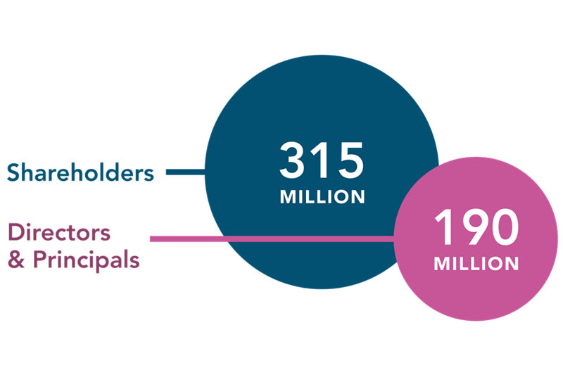 Illustration of the Dun & Bradstreet global dataset that D&B Network Intelligence leverages including 315 million shareholders and 190 million directors and principals