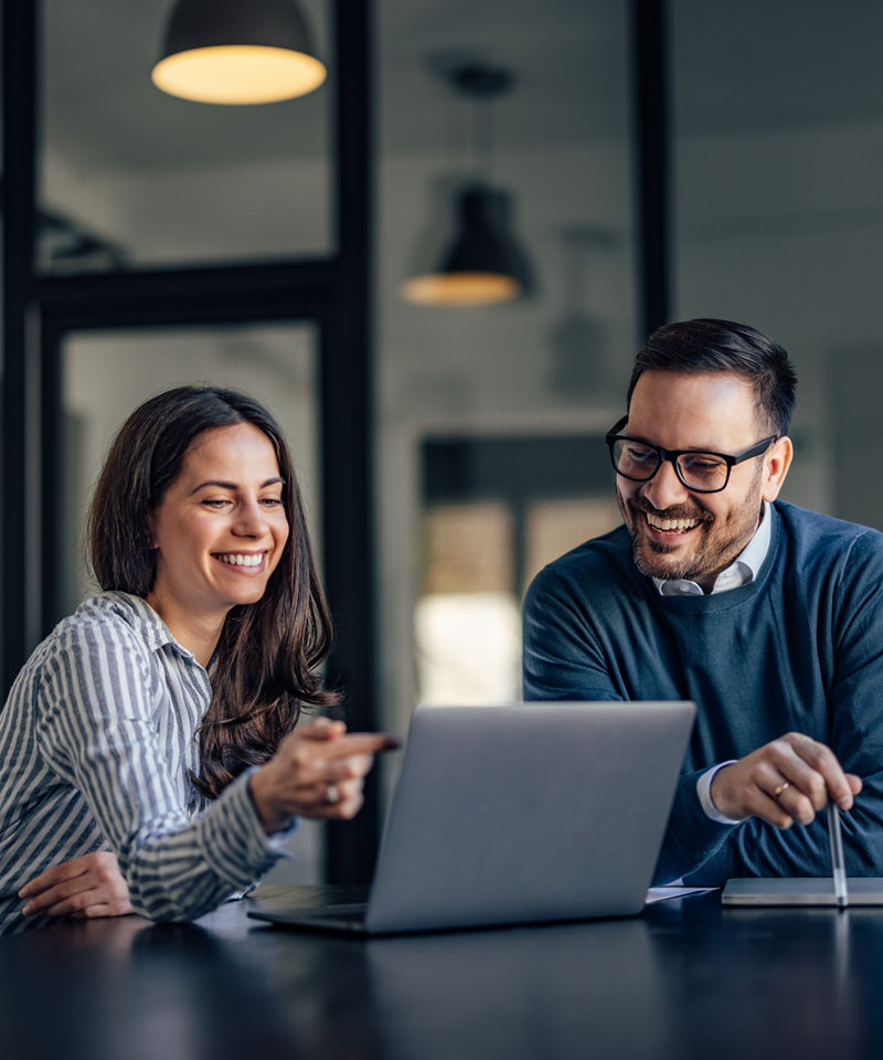 Smiling brunette girl, showing something online to her boss.