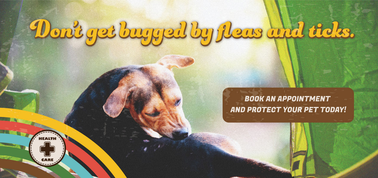 Flea & Tick