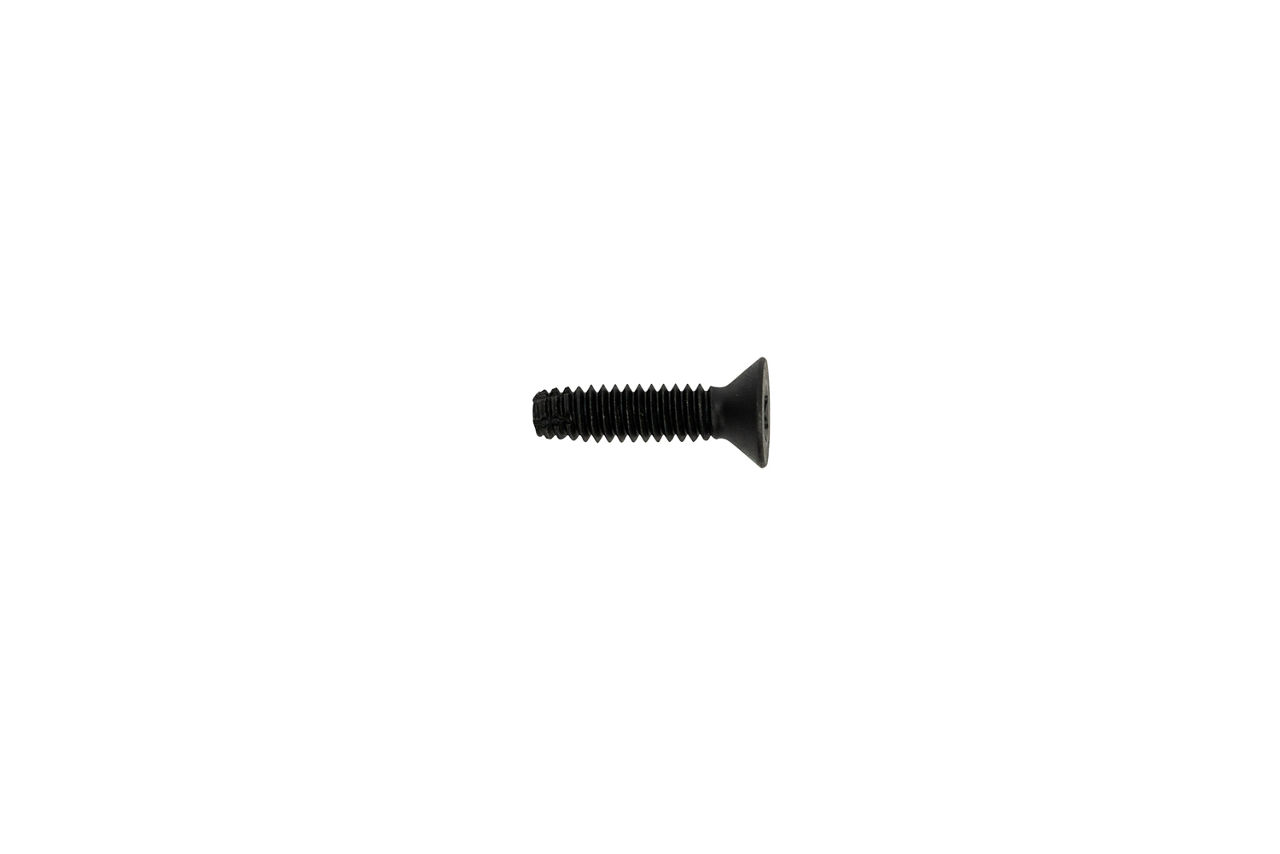 Screw Floor 1/4-20 X 1 Self Tapping Torx Head