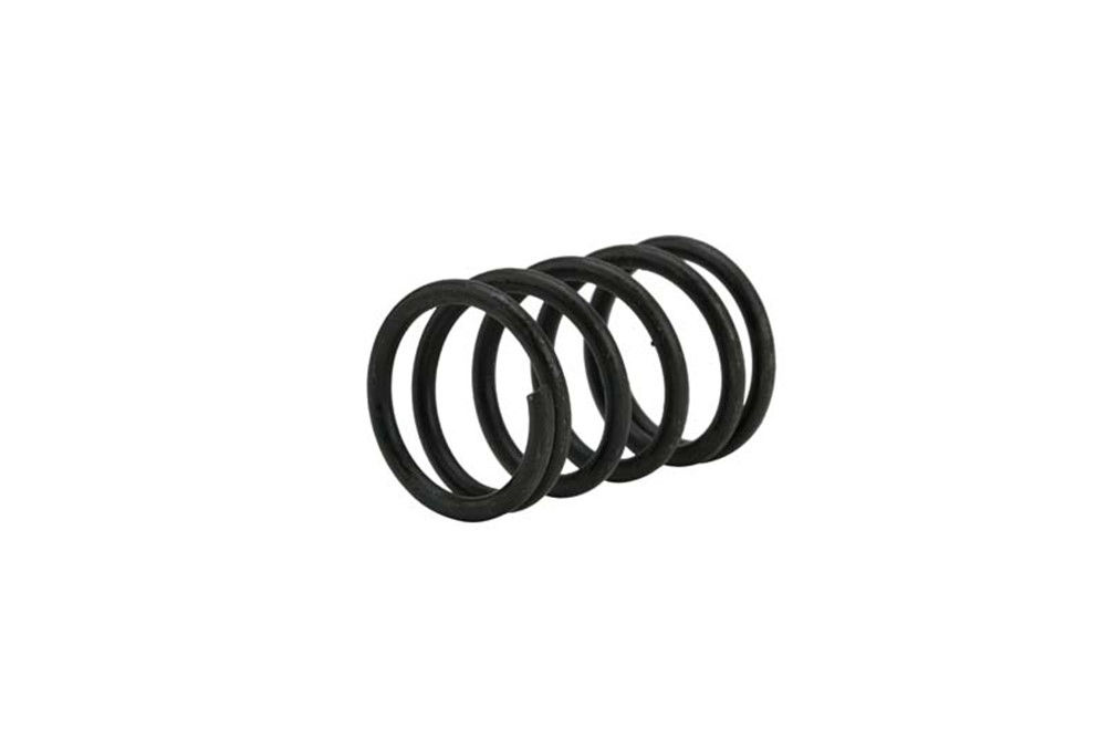 Shoe Hold Down Springs No Cup, Black