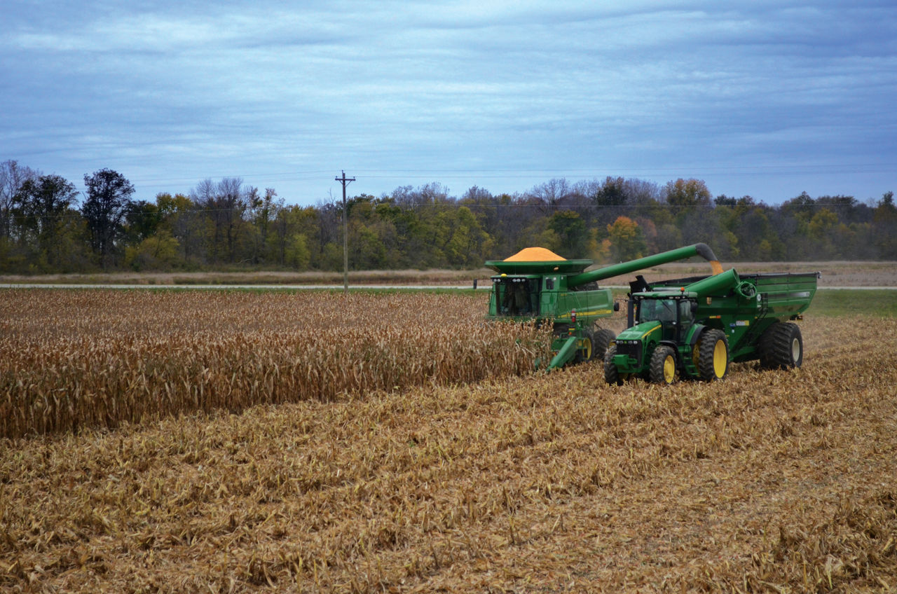Field being harvested