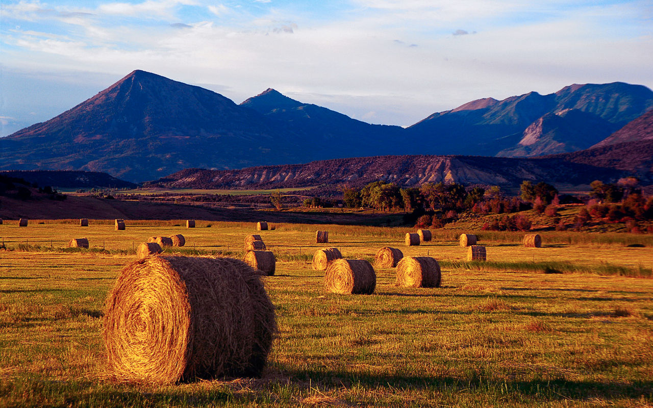 Farm field