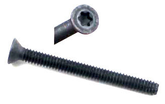 Trailer Parts Pro Floor Screws, T30 Drive, 1/4