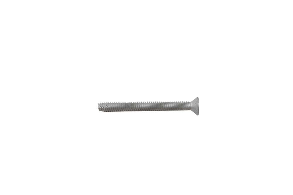 Trailer Parts Pro Floor Screws, T30 Drive For ACQ Treated Wood, 1/4