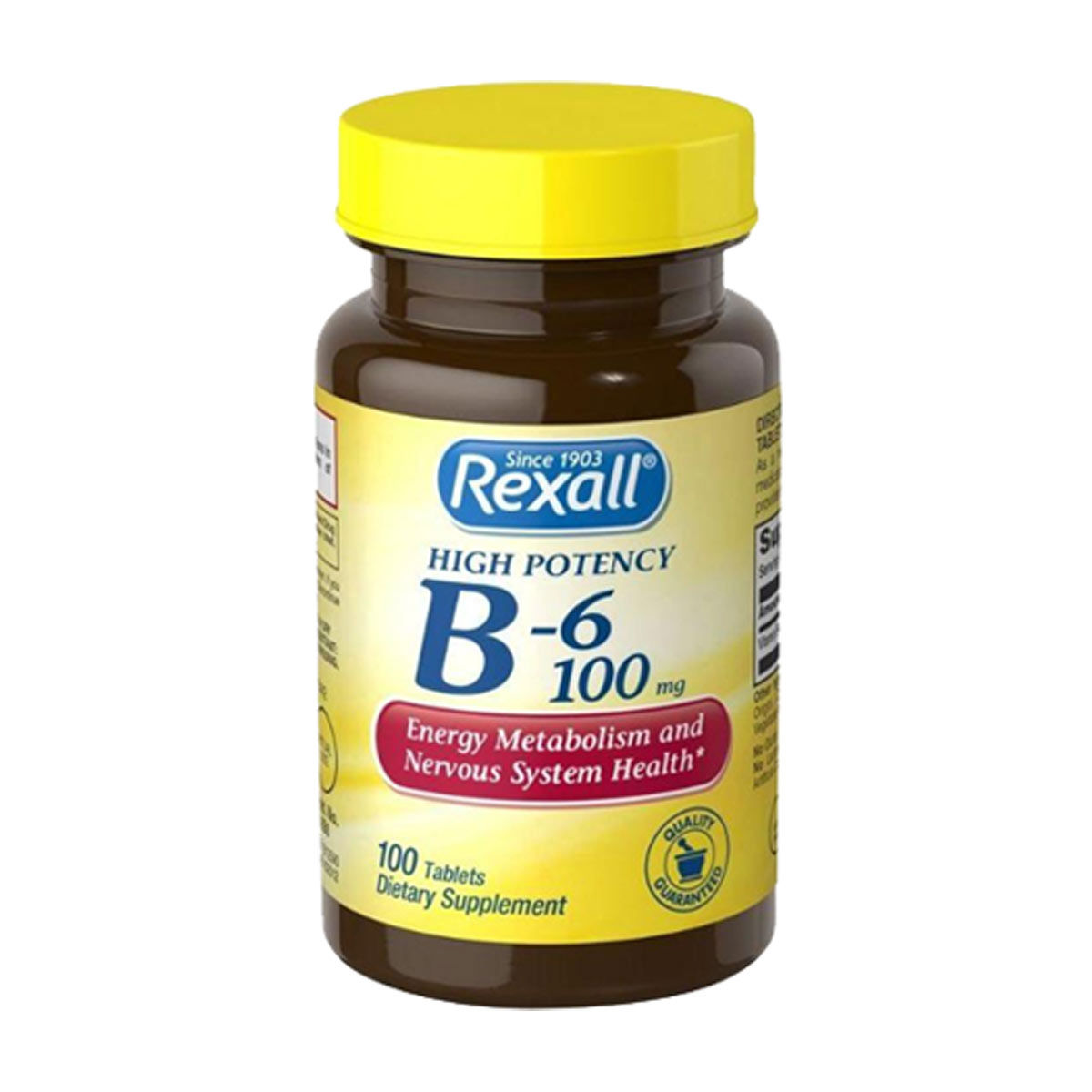 Rexall-High-Potency-B-6-100-mg-Tablets,-100-ct