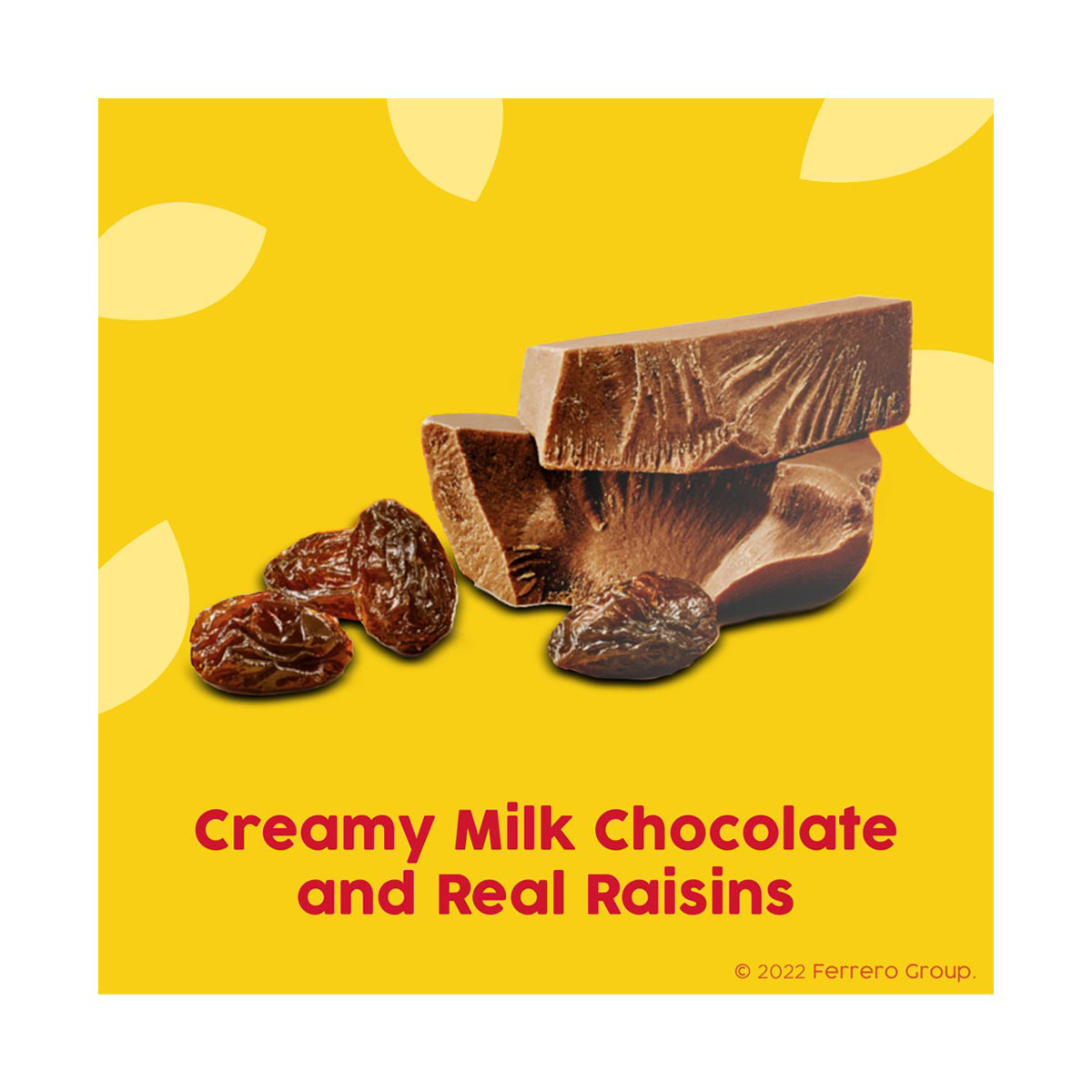 Raisinets Milk Chocolate Theater Box, 3.1 Oz