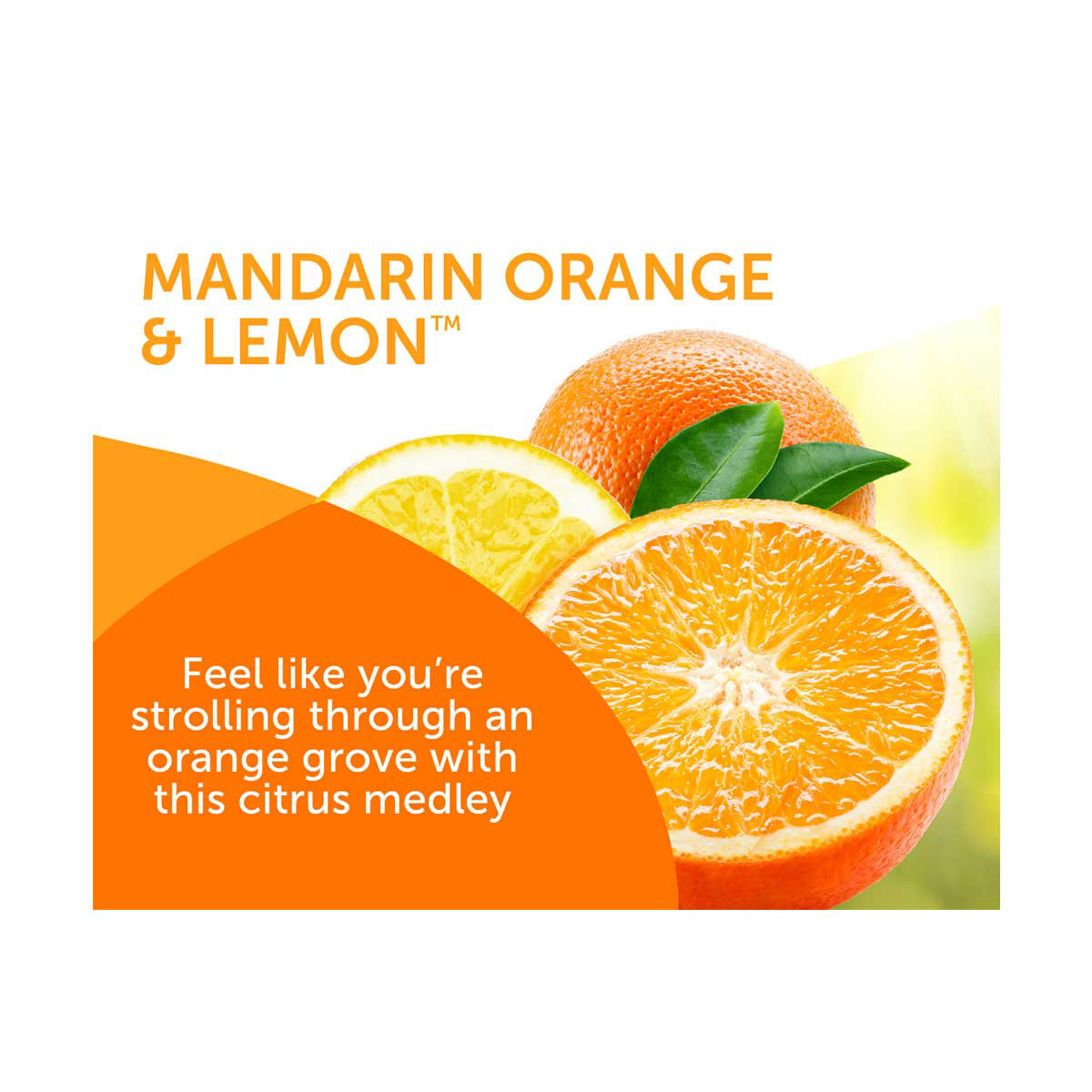 Amazon.com: Citrus II Pure Citrus Air Fragrance, Natural
