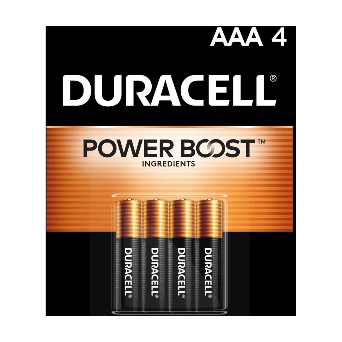 Duracell Coppertop Aaa Alkaline Batteries, 4 Ct Dollar General