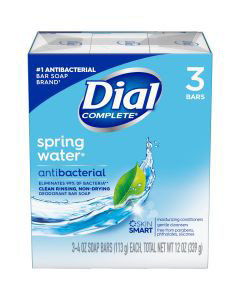 Dial foaming hand soap best sale dollar general