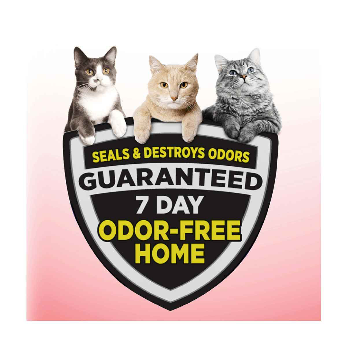 Arm & hammer cat litter outlet rebate