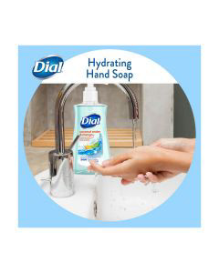 Dial foaming hand discount soap dollar general