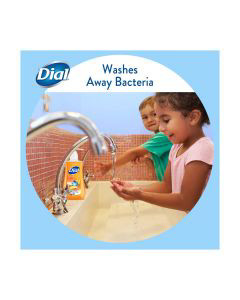 Dial liquid hand soap marula oil 2025