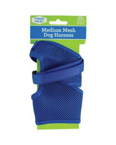 How to put on a forever 2025 pals dog harness