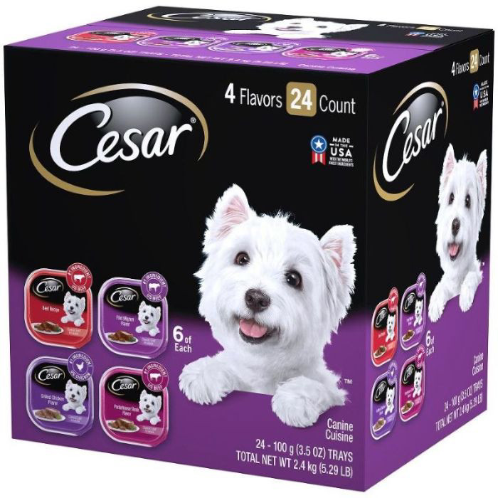 Cesar dog 2025 food dollar general