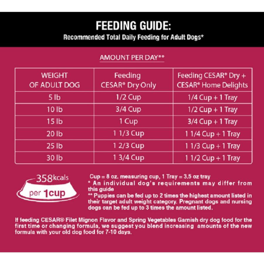 Cesar Small Breed Dry Dog Food Porterhouse Flavor and Spring Vegetables Garnish 5 lb Bag