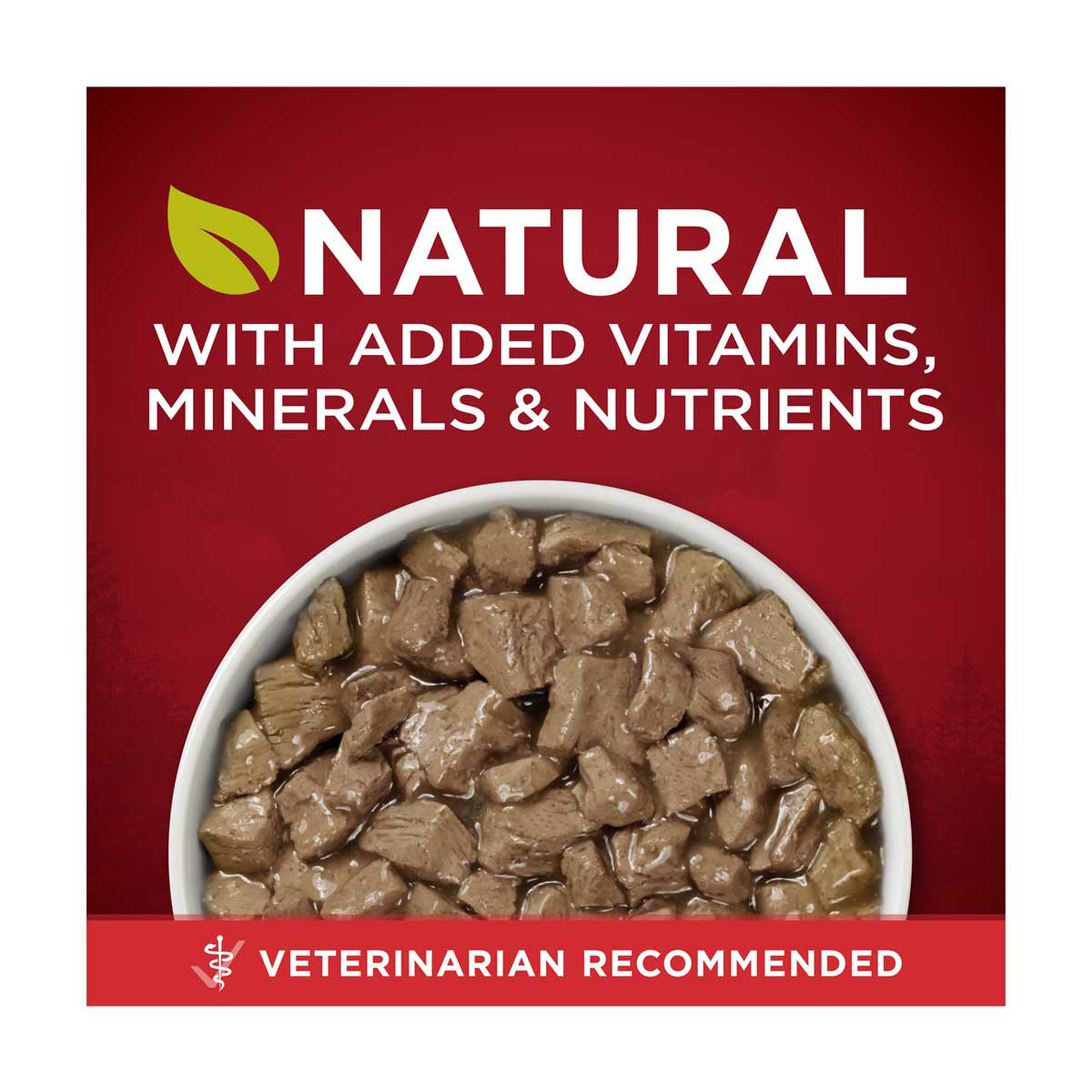 Purina ONE True Instinct Tender Cuts In Gravy With Real Beef and Wild Caught Salmon Wet Dog Food 13 oz can
