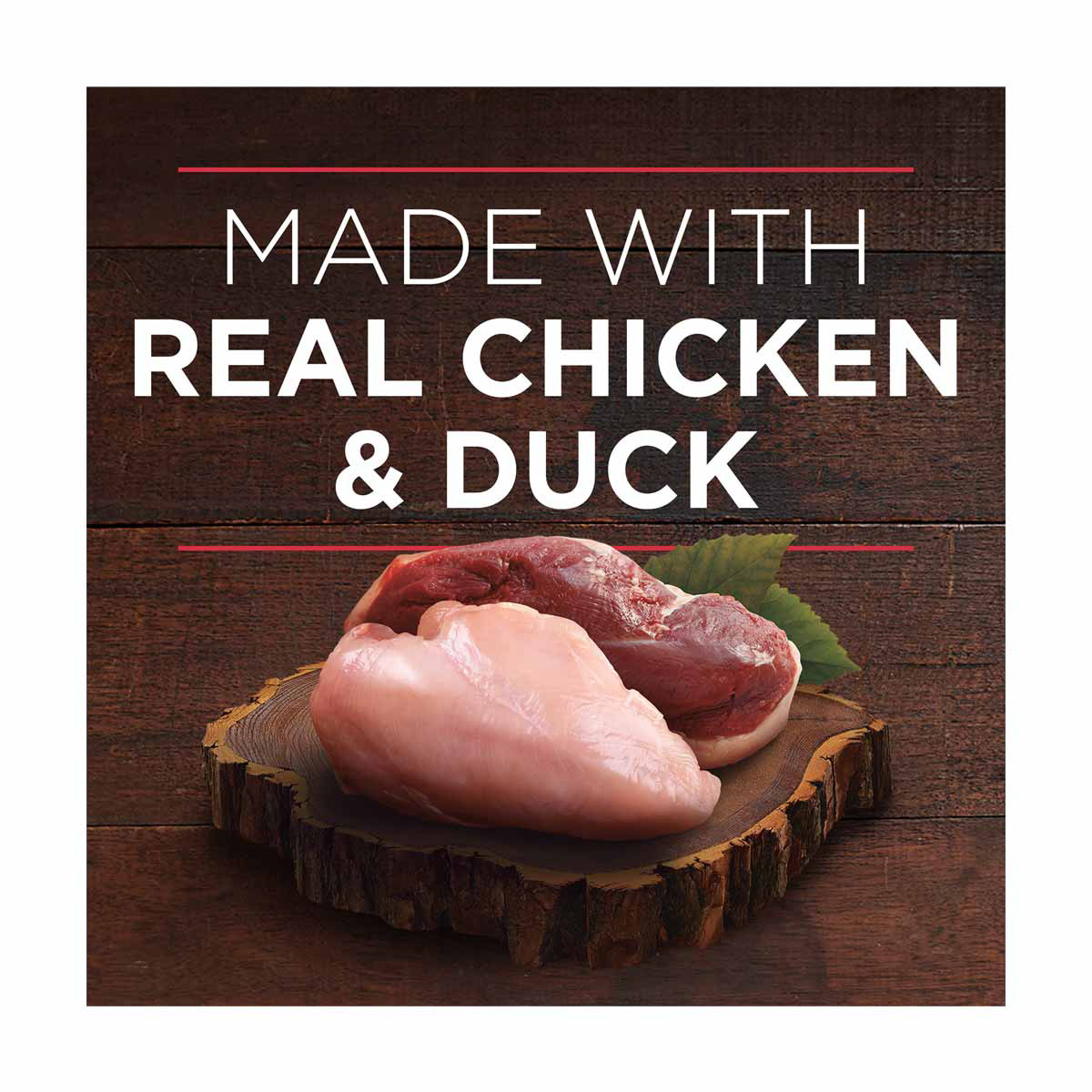 Purina ONE True Instinct Tender Cuts In Gravy With Real Chicken and Duck Wet Dog Food 13 oz can