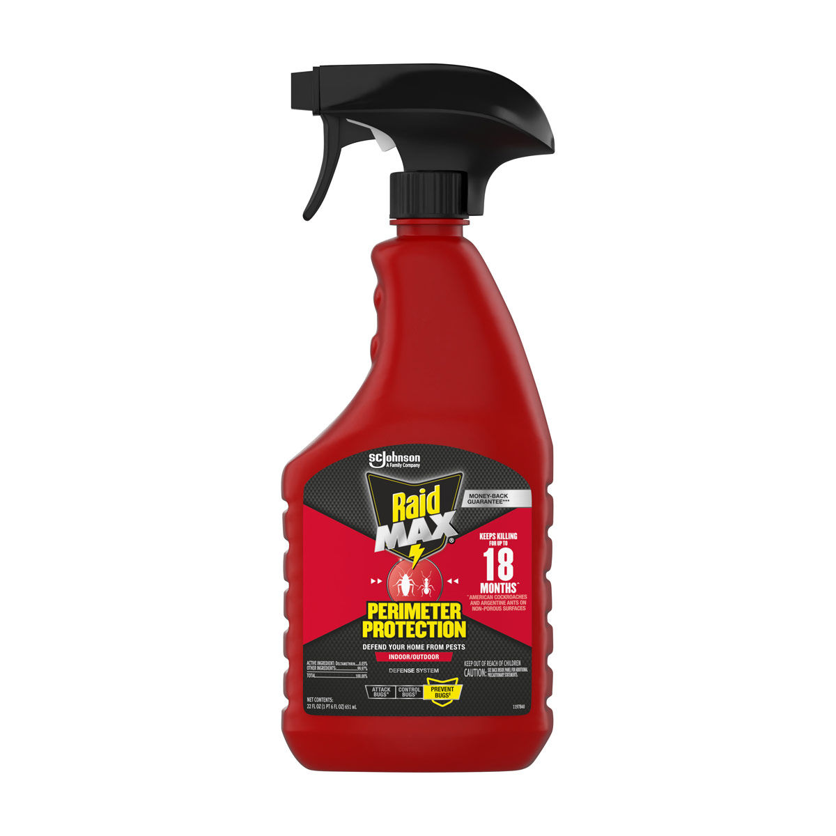 Raid Max Perimeter Protection, Indoor & Outdoor Multi Insect Killer Spray, 22 fl oz