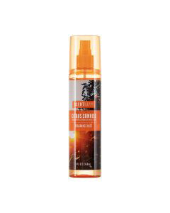 Dollar general online cologne