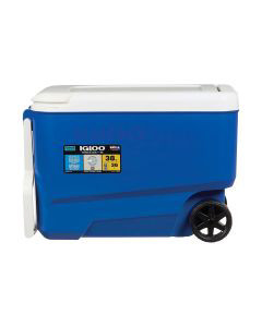 Dollar general sales igloo cooler