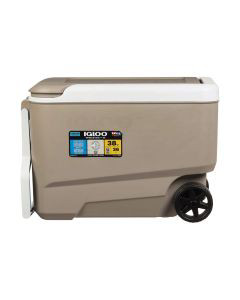 Styrofoam cooler 2024 dollar general