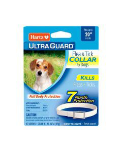 Cat flea collar outlet dollar general