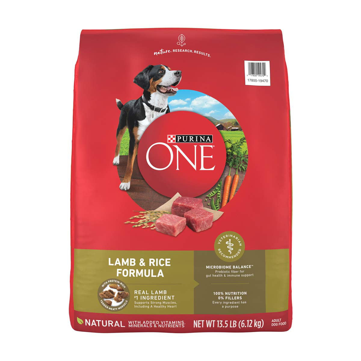 Purina ONE Lamb and Rice Formula Dry Dog Food 13.5 lbs