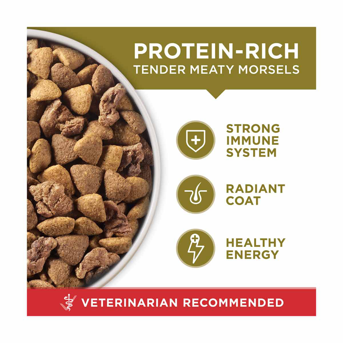 Dollar general purina dog food sale