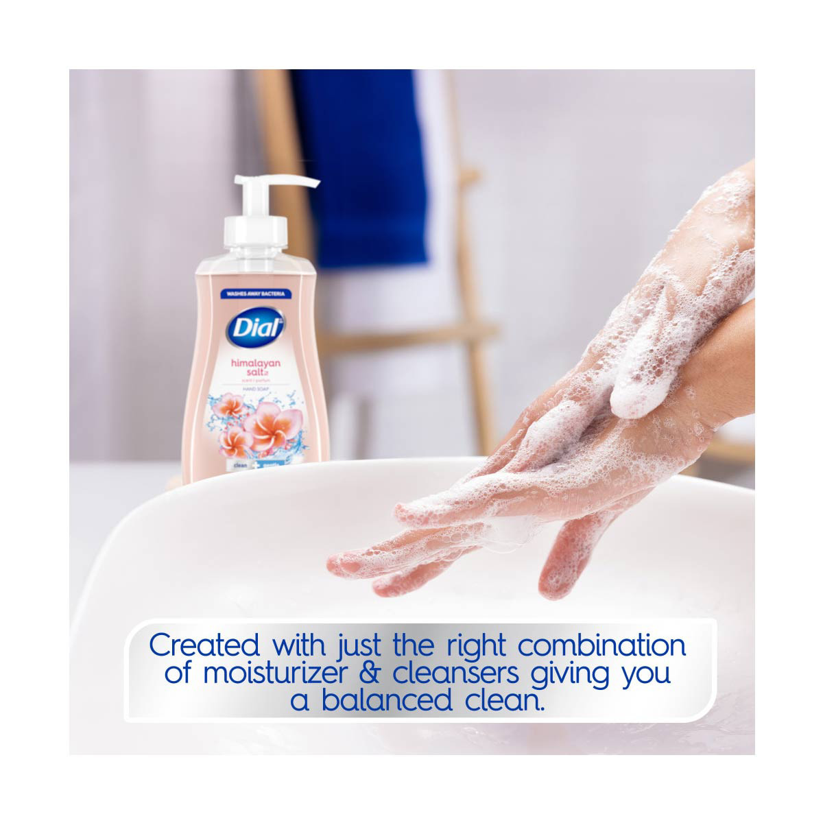 Dial himalayan salt hand soap hotsell