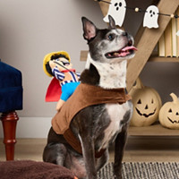 Halloween Pet Costumes, Toys & Treats