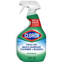 Household Cleaners 