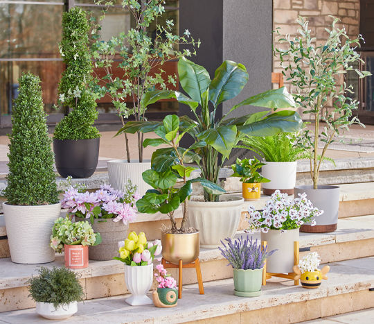 Various pots and planters in different shapes, sizes and colors