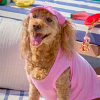 Summer Pet
