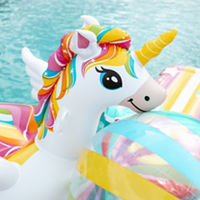 Pool Floats & Water Toys