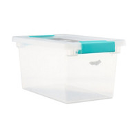 Clear Storage Box with Latched Lid, Medium,