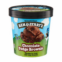 Ben & Jerry's Ice Cream Chocolate Fudge Brownie, 16 oz